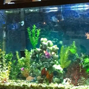 Meet your Posher, Paula